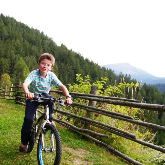 urlaub im eggenbtal suedtirol ferien in den dolomiten sommer winter fruehling herbst wandern ski bauernhofurlaub thalerhof eggen 1