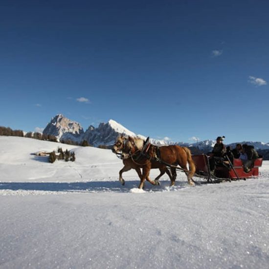 urlaub im eggenbtal suedtirol ferien in den dolomiten sommer winter fruehling herbst wandern ski bauernhofurlaub thalerhof eggen 23