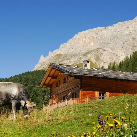 urlaub im eggenbtal suedtirol ferien in den dolomiten sommer winter fruehling herbst wandern ski bauernhofurlaub thalerhof eggen 24