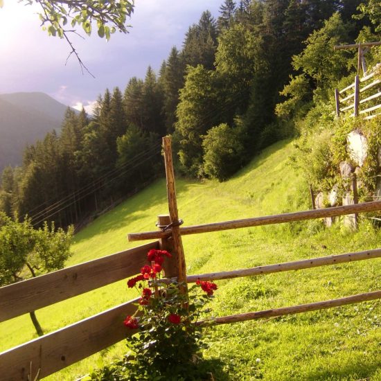 urlaub im eggenbtal suedtirol ferien in den dolomiten sommer winter fruehling herbst wandern ski bauernhofurlaub thalerhof eggen 30