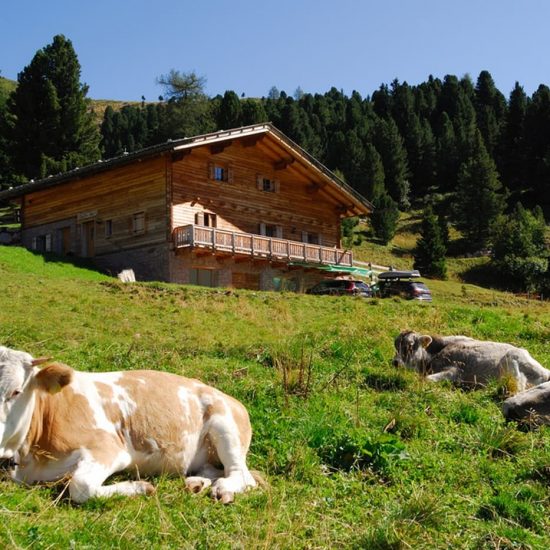 urlaub im eggenbtal suedtirol ferien in den dolomiten sommer winter fruehling herbst wandern ski bauernhofurlaub thalerhof eggen 37